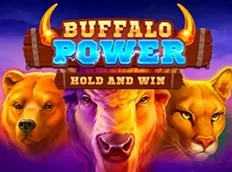 Buffalo Power Buffalo Power
